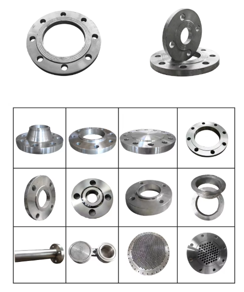 Forged Flange Carbon Steel 3'' 900LB SCH160 WN Flanges ASME B16.5 ASME UNSS32205 Flanges