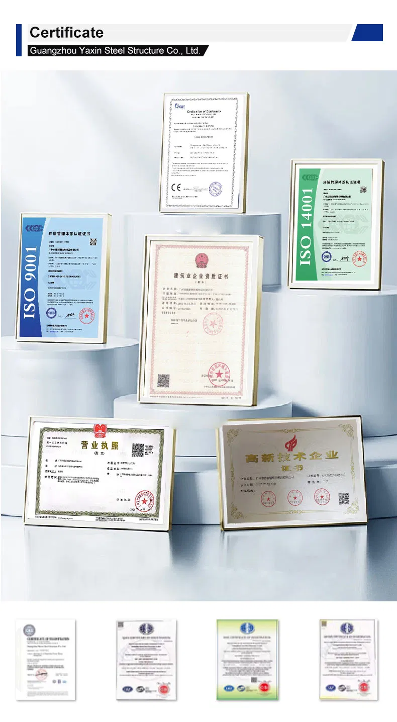 Luxury Modern New Design Flat Pack Container House