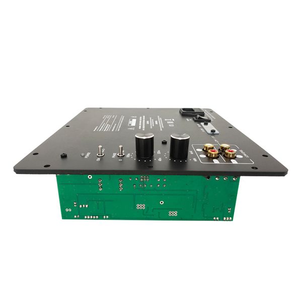 250W CLASS D Subwoofer Plate Amplifier with Built-in Phase Switchable and Standby Mode for Professional Audio Systems