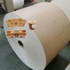 Quality PE Coated greaseproof paper roll for beverage paper cups for sale