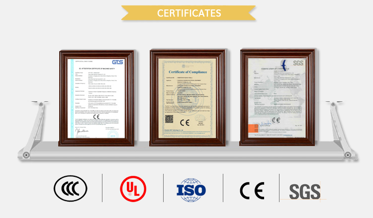 High Efficiency Chicken Lung Extractor Vacuum Poultry Lung Remover Suitable for Bird Quail Pigeon Fish Internal Organ Removal