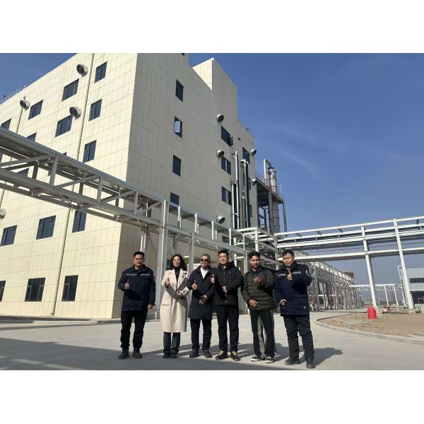 Bulk sodium carboxymethyl cellulose supplier instant grade quick dissolve in cool water