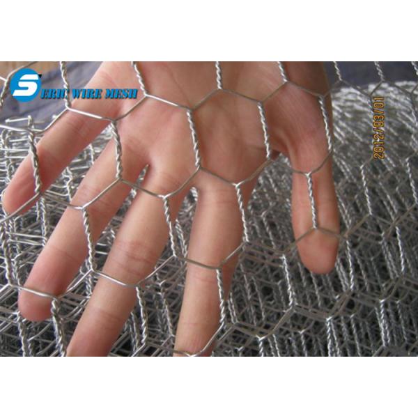 Fish trap wire/Chickn wire/fish trap hexagonal wire mesh