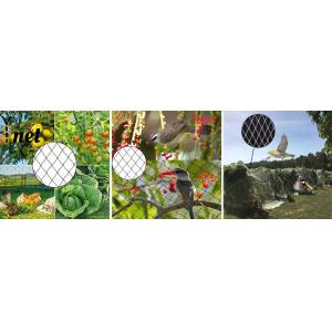 Agricultural Bird Prevention Netting 5m - 1000m Knitted Bird Netting