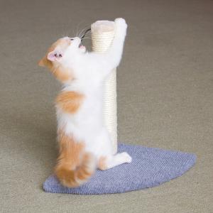 Quality OEM Eco Friendly 13.39&quot; Fabric Cat Scratching Post for sale