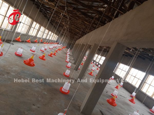 Automatic Broiler Chicken Cage with Floor Feeder Pan Drinking System Emily