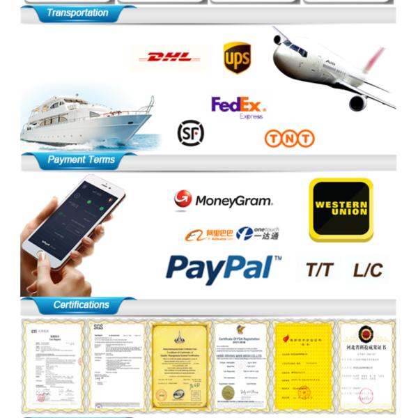 Polyester molded fabric mesh for papermaking, single/double/triple molded mesh