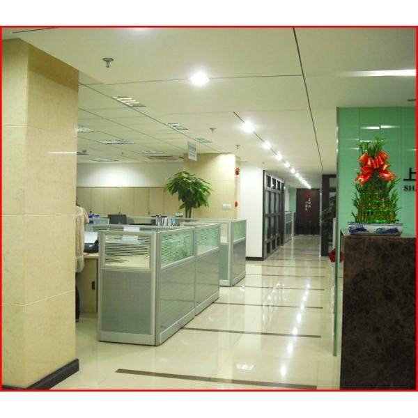 Shanghai Honglian Medical Tech Group