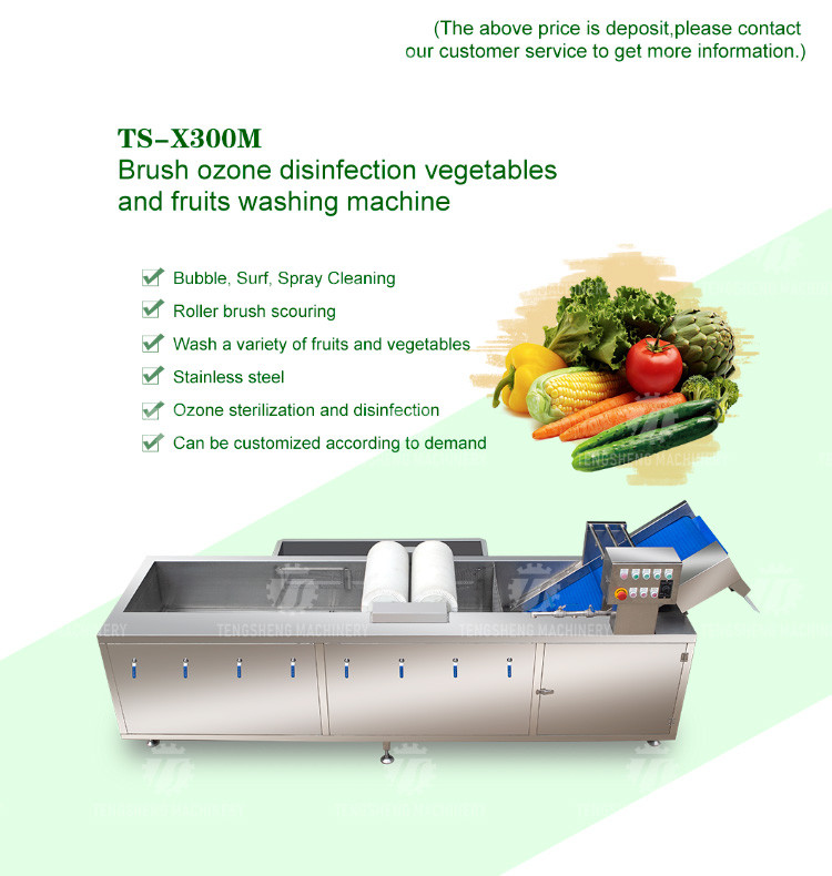 250KG Fruit and vegetable washing machine automatic sterilization washing machine fruit and vegetable processing