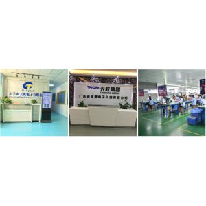Dongguan Tianqian Electronics Co., Ltd.