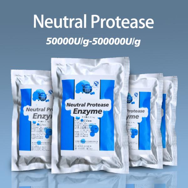 Neutral Protease for Industrial and Food Applications providing enzyme