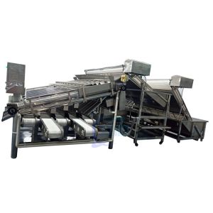 Quality 4900W Shrimp Grading Machine Roller Control Anti Erosion Automatic for sale