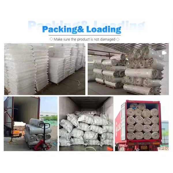Compressed Rolled 1.8mm Sofa Pocket Spring Unit for Export Shipping Saving