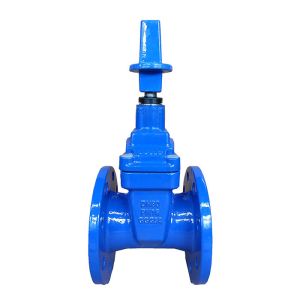 PN10/PN16 Soft Seated Gate valve Flange End DN50-DN800