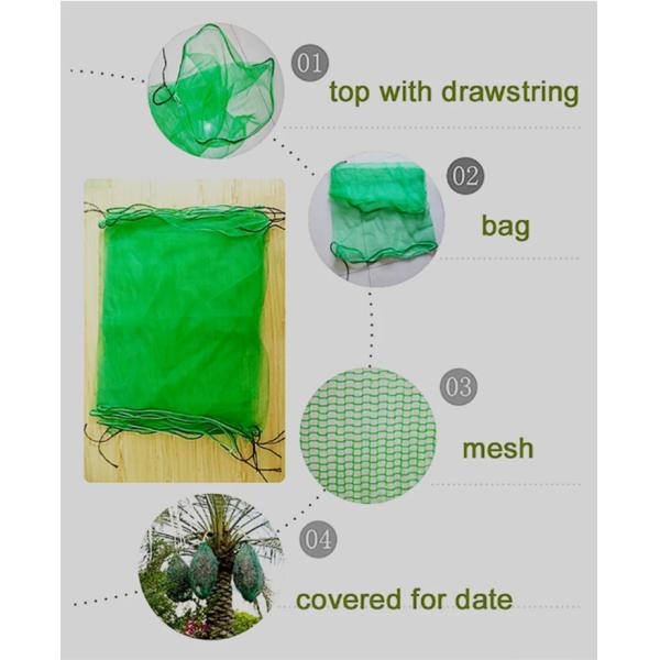 Industrial Agriculture HDPE Mesh Bags for Palm Date and Mango Anti Insect Net