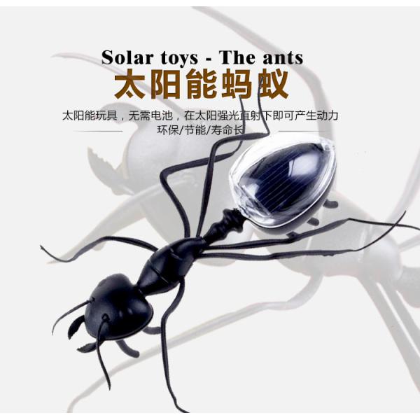 Manufacturer Direct Supply Moving Solar Toys Powered Plastic Insect Animal Novelty & Gag Toys Solar Panel Toy