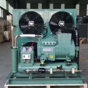 Quality DM Air Cooled Condenser Unit , Horizontal Condenser Unit 60Hz for sale