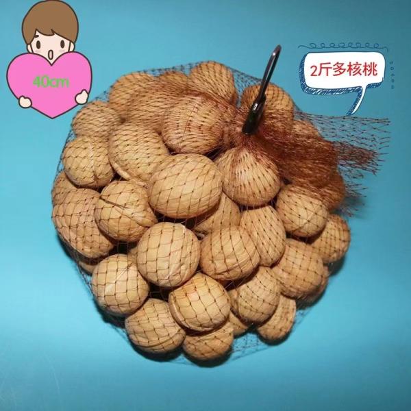 PE Plastic Sleeve Mesh Bag Net For Pack Eggs Protective Fruit Vegetable