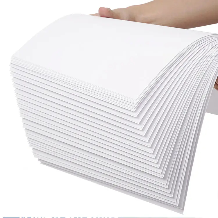 70x100cm 210g PE Coated Glossy Ivory FBB Cardboard Roll for Food Packaging