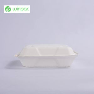 Sustainable Compostable Sugarcane Bagasse Clamshell Takeaway Containers 8 Inch
