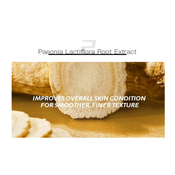 Custom Logo High Coverage Oil-control Long-lasting Make up Face Primer Makeup Base Makeup Makeup Face Moisturizer