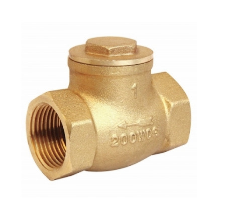 Wafer Type 25 Bar Carbon Steel Check Valve Api 6d