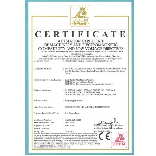 5inch Touch Screen Automatic Carton Coder for Expiration Date and Batch Code Printing