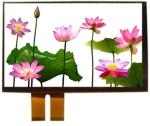 IPS TFT LCD Resistive Touch Screen Panel 6 Inch 720x1440