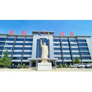 Henan Yongsheng Aluminum Industry Co.,Ltd.