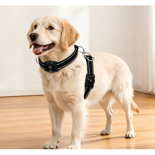 GPS Dog Collar with Real Time Tracking Waterproof Reflective Soft Padded Durable Plastic D Ring Fashion Rechargeable