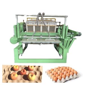 Eco Friendly Rotary Sustainable Paper Egg Tray Making Machine Environmentally