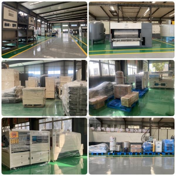 Fully Automatic Pulp Molding Tableware Machine Paper Tray Machine Production Line