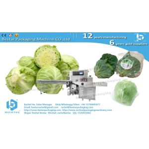 Bestar horizontal packing machine for vegetables