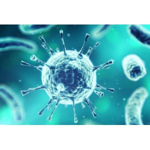 Quality 40 Test Serum / Plasma Sample IgG IgM Detection Reagent for sale