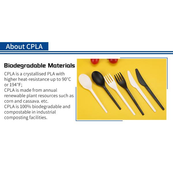 Biodegradable CPLA Cutlery Kit Disposable Eco Friendly Compostable