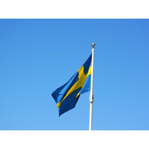 Factory Wholesale National 100% Polyester Sweden Flag For Outdoor Using
