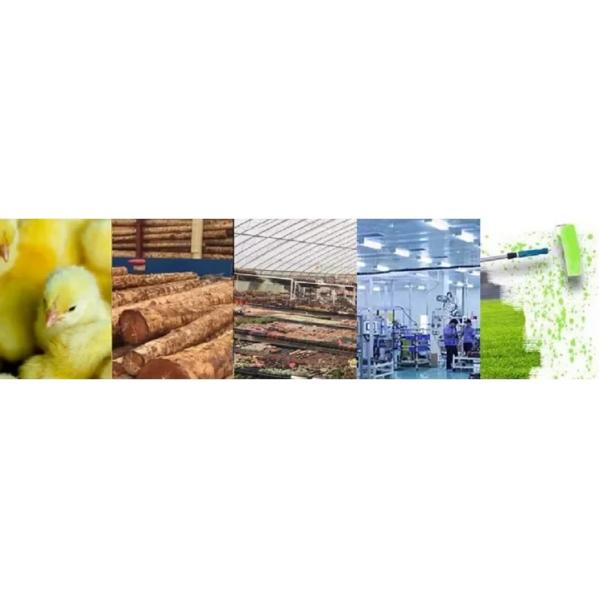 Industrial Construction Space Diesel Air Heater Poultry Farm Chicken House Kerosene Blower Heater Greenhouse Diesel Heater