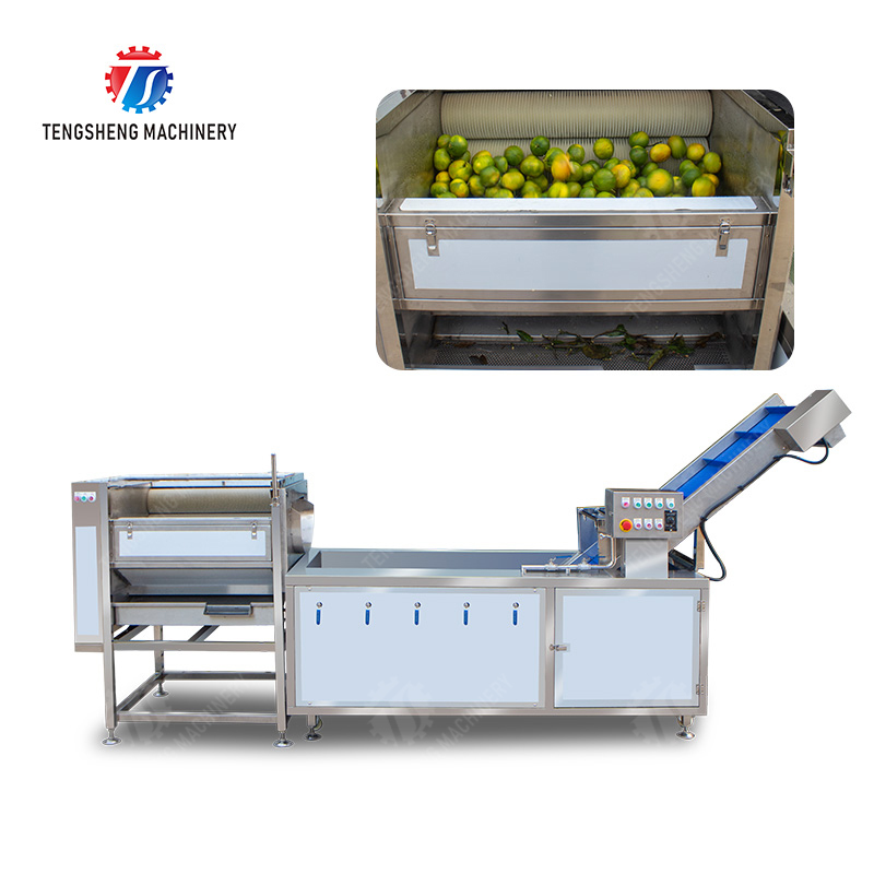 Citrus cleaning production line Fruit Orange Wash Washer Washing Cleaning Dryer