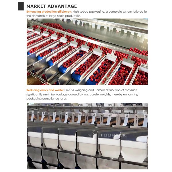 Automatic Fruit Punnet Packing Machine For Blueberry Strawberry Cherry Tomato
