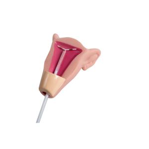 Quality Insertion Placement Gynecologic IUD Training Simulator for sale