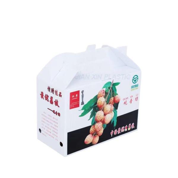 Lightweight Color Carton Box Rectangular Printing Carton Boxes Durable