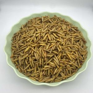 Quality Highly Nutritious Dried BSF Larvae for Insect Feed for sale
