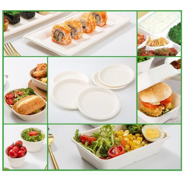 Biodegradable Bagasse Sugarcane Clamshell Food Container 3 Compartment Disposable