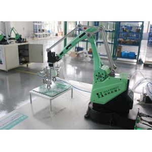 3 Axis 4 Axis Programmable Handling Palletizing Robot Arm