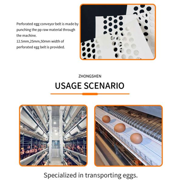 Polypropylene Perforated Egg Conveyer Belt with Adjustable Speed and Low Egg Broken Rate (0.3%) for Poultry Farms