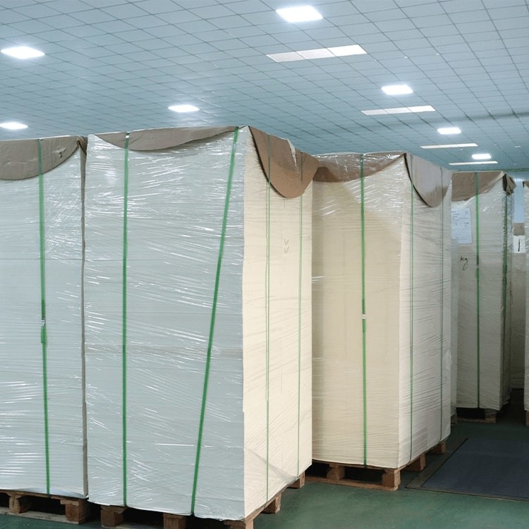 PLA Coated Paper Sheet for Sustainable Packaging Solution with Customized Thicknes