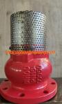 10 inch 10K ductile iron flanged foot valve