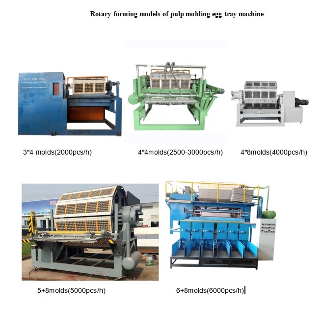 Quality 70-150kw Rotary Egg Tray Machine Large Capacity Customizable for sale