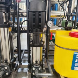 Reverse Osmosis Membrane Separation Remove Dissolved Salts Ro System Automatic