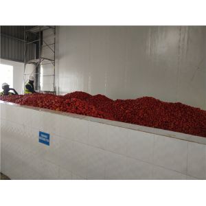 Quality SGS Tomato Processing Line 2000T/D Concentrating Ketchup Processing Line for sale